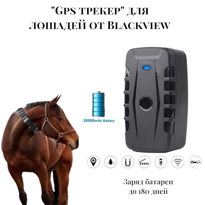 Gps трекер для животных от Blackview