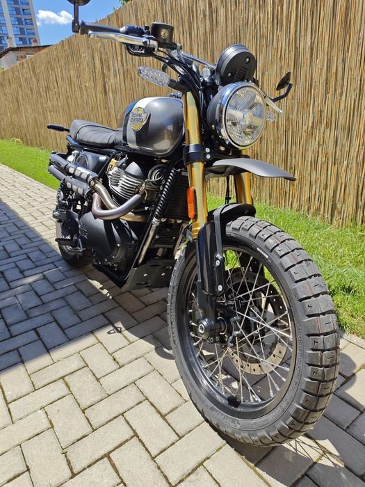 Royal Enfield Interceptor Bear 650  scrambler 2025 A2