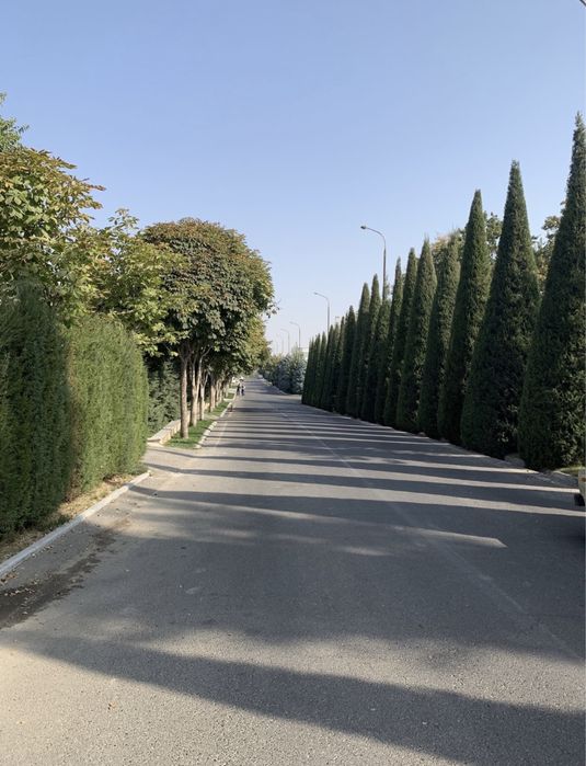 Центр Луначарский улица Садаф 4-соток ровны квадрат место бомба