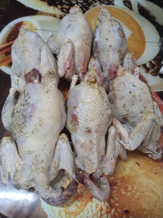 Продам домашних Петушков на бульон.