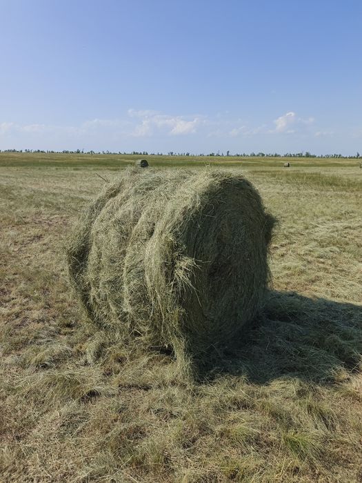 Сено в рулоне 8к
