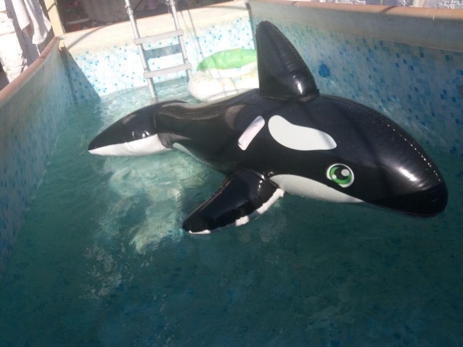 надувной круг касатка