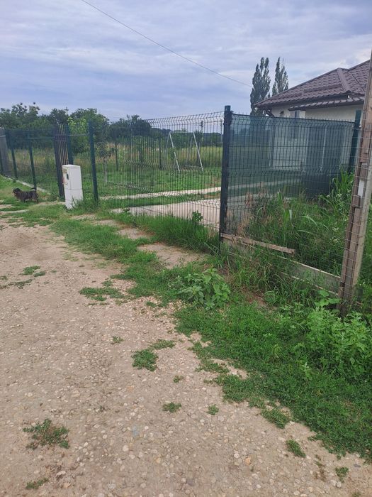 Teren intravilan 300 mp – Dârza, Crevedia | 22 m deschidere | Între case | 17.900 € negociabil