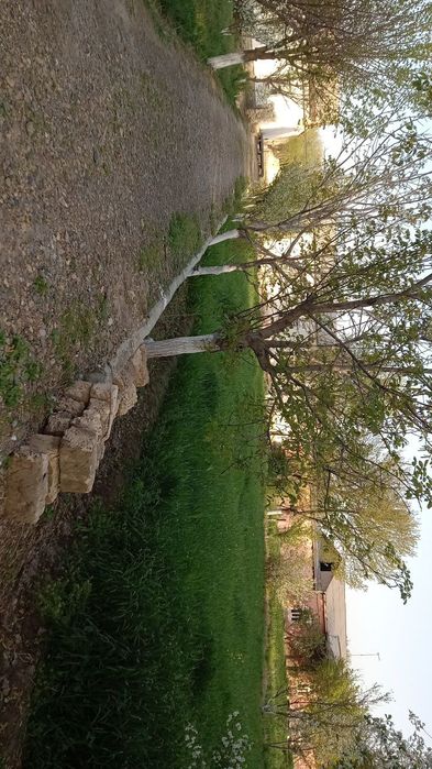 Navoiy beshrabot uy sotiladi tez va arzon