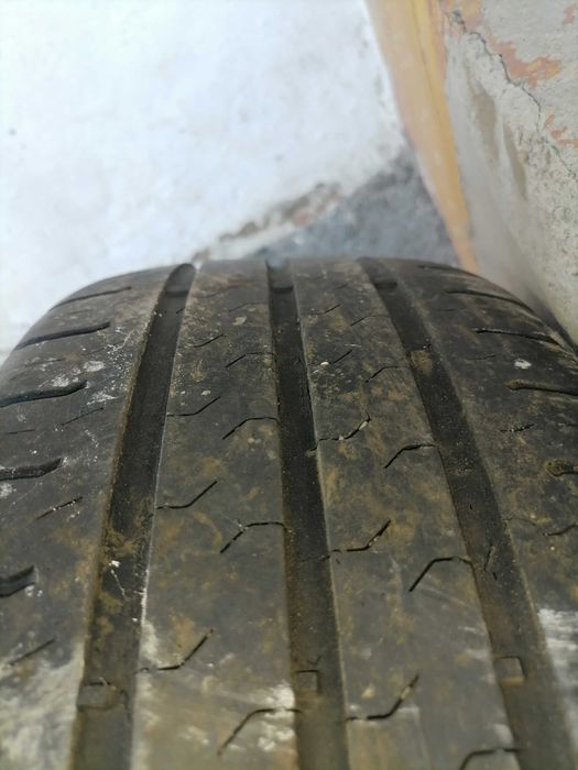 Шина летняя 1 ш.