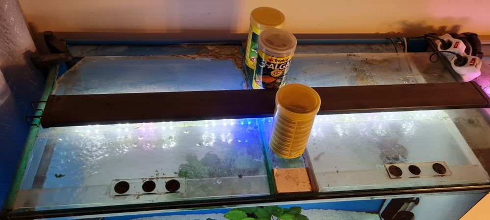 Vand 2 acvarii complet dotate cu standuri cu tot