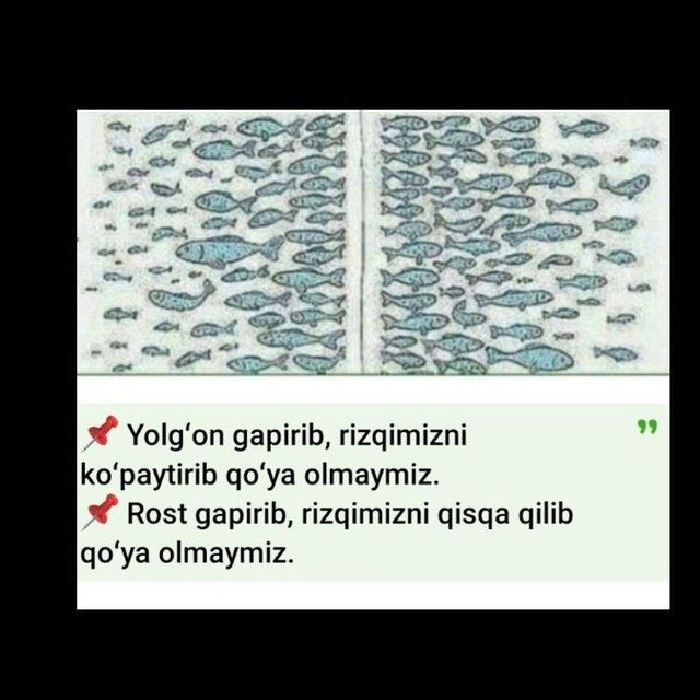 Куй юнгини олиш хизмати келишилган нархда