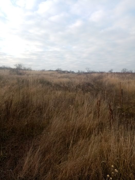 Vând terenuri extravilane