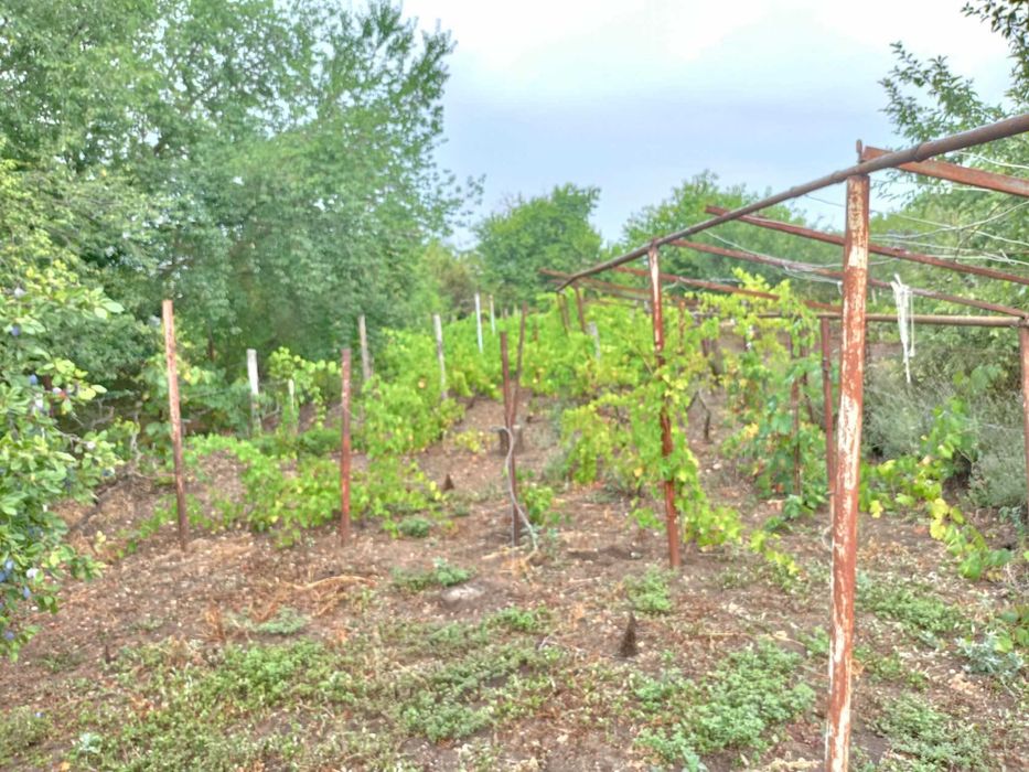 Продава се Парцел в Добрич, Христо Ботев - 868 кв.м за 8 €/кв.м - Снимка #7