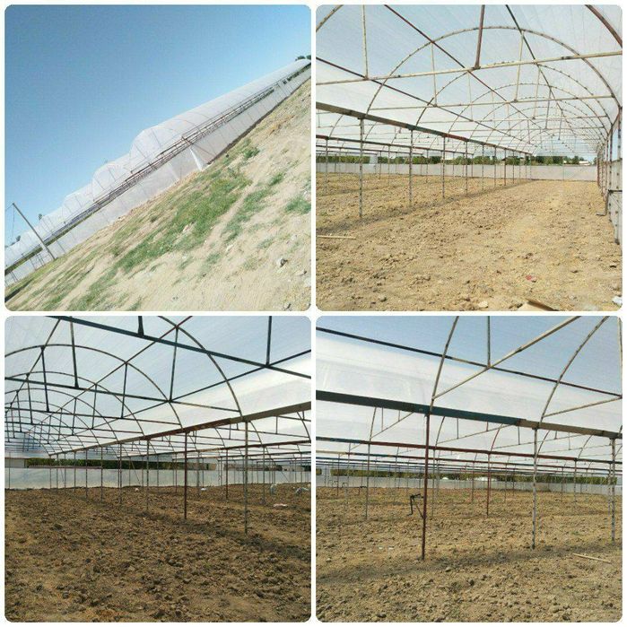 Parnik ramasi Sotiladi jami 20 sotik