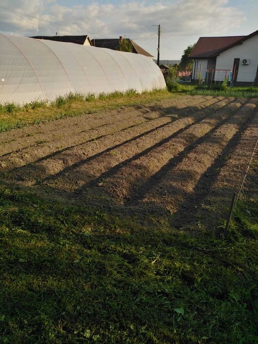 Casa cu solar 1700mp PETID, Bihor