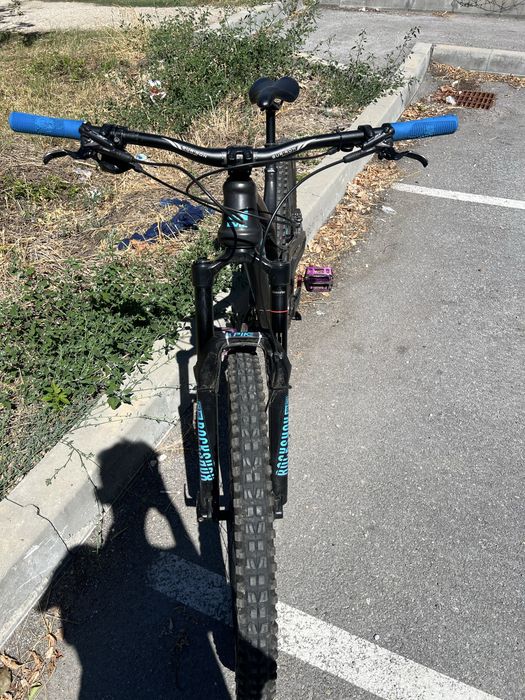 Evil Bikes Carbon fiber