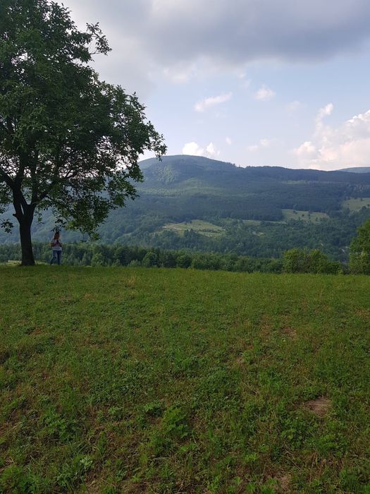 casa pamant de afaceri