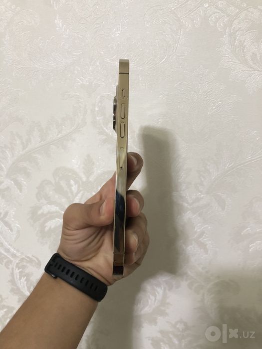 iPhone 13 pro max 1tb