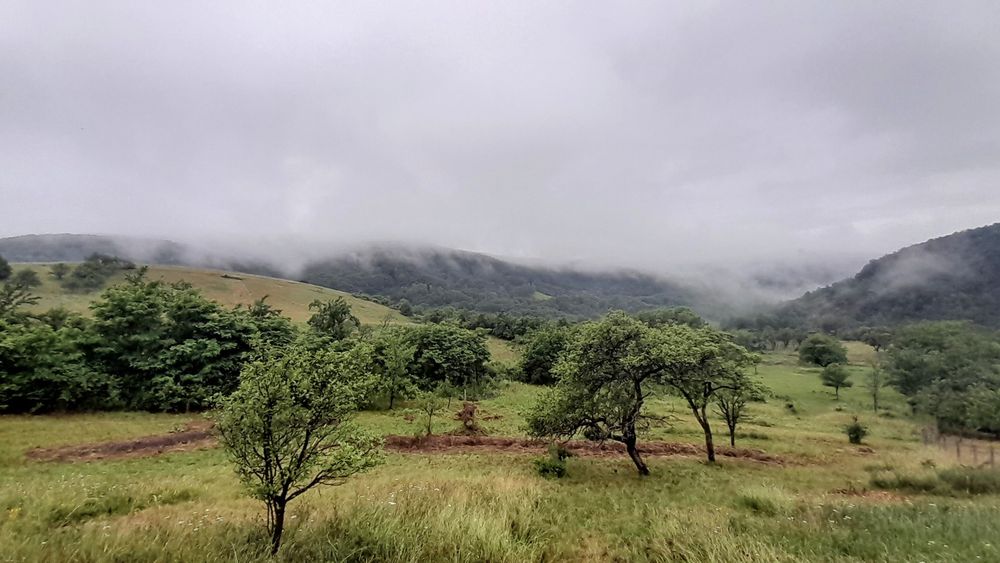 Teren intravilan frumos, Cozia