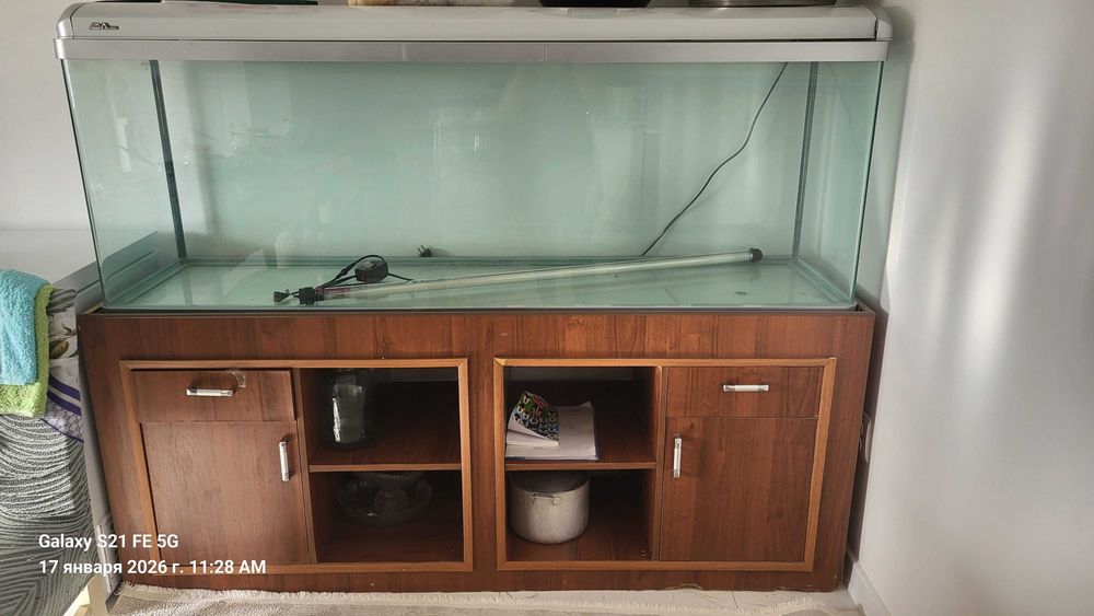 Аквариум   үлкеееен