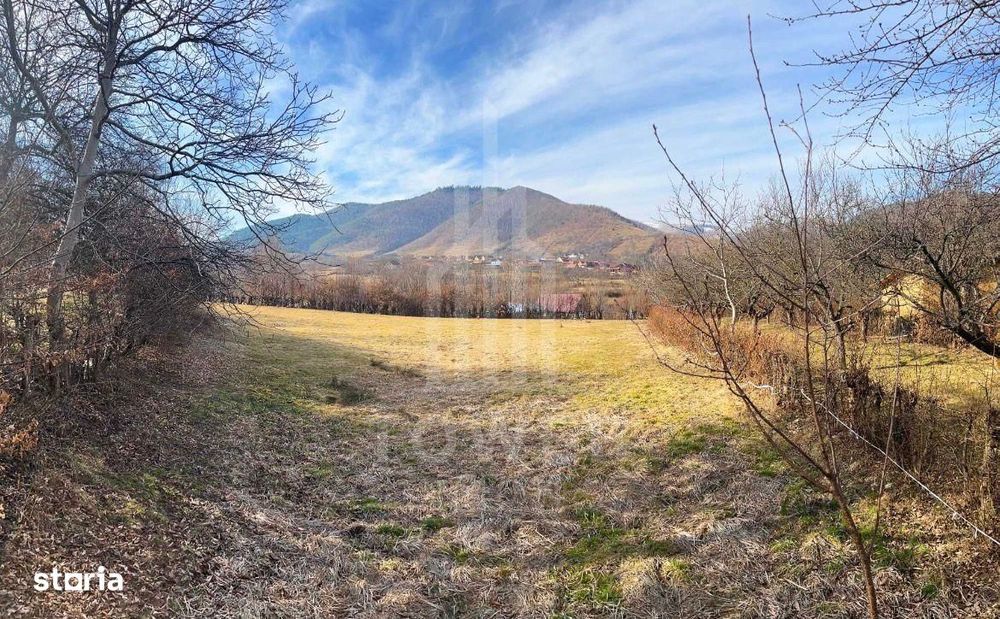 Teren intravilan 2.295 mp, deschidere 60 m – Rășinari, comision 0%