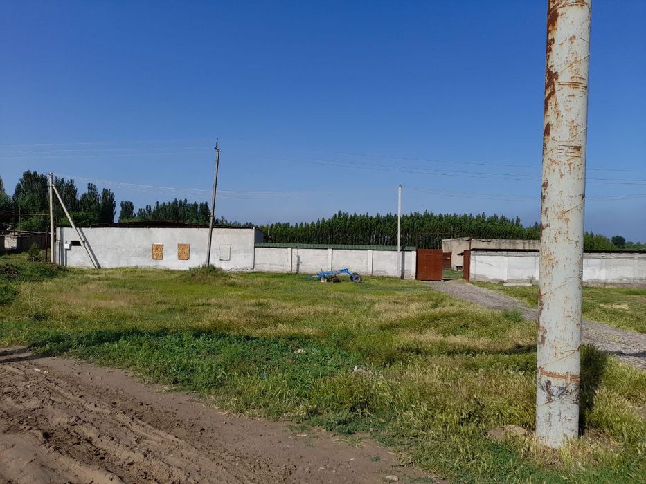 Аренда холодильник 200 тонна