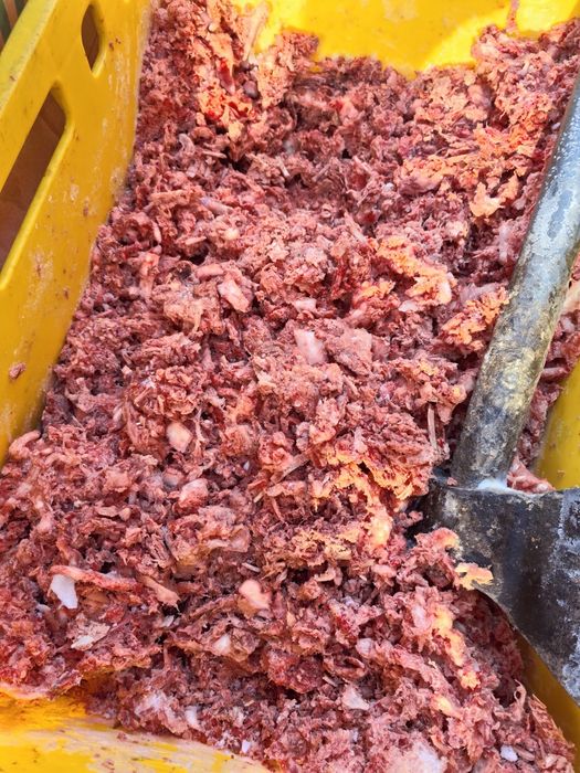 Колбаса для собак и кошкам