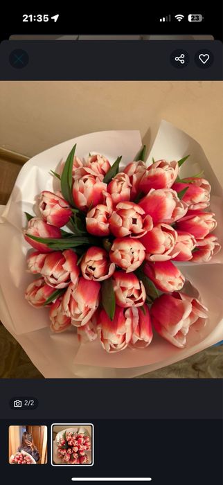 Тюльпаны на 6,7,8 марта оформление