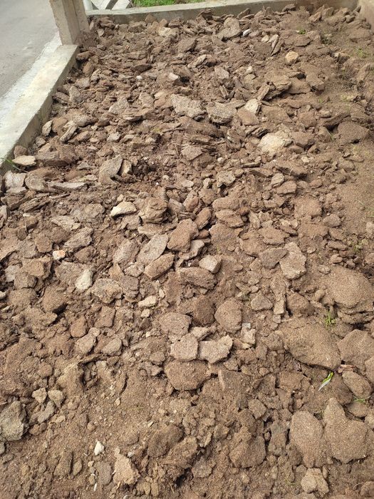 Қўй гўнги бепул бепул