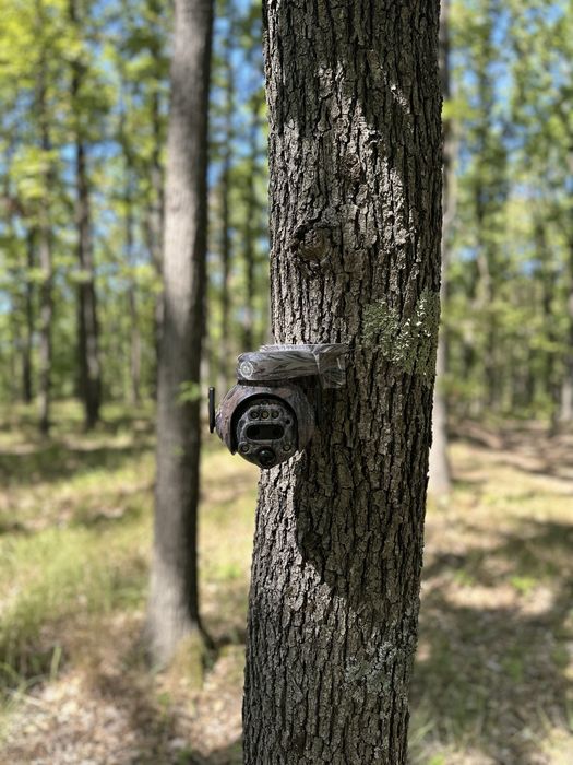 Camera vanatoare rotativa cu zoom optic 12x 4GForestvision LiveC6Ultra