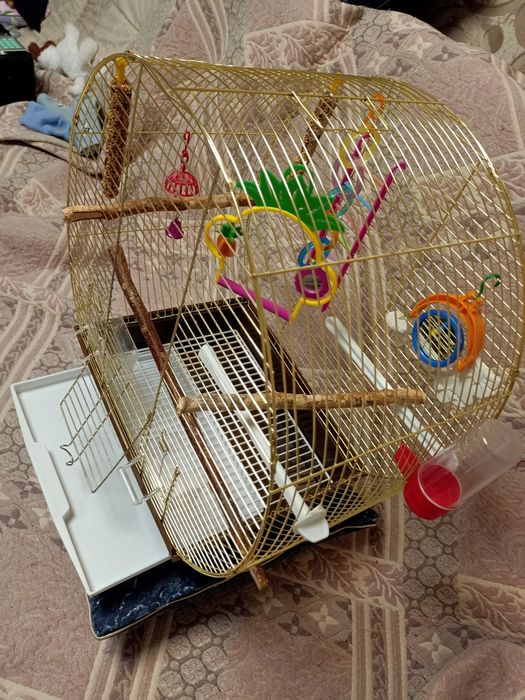 Срочно продам клетку для попугаев 23000(торг)