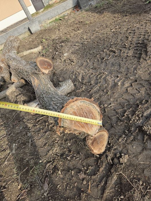 Дървен матерял,орех