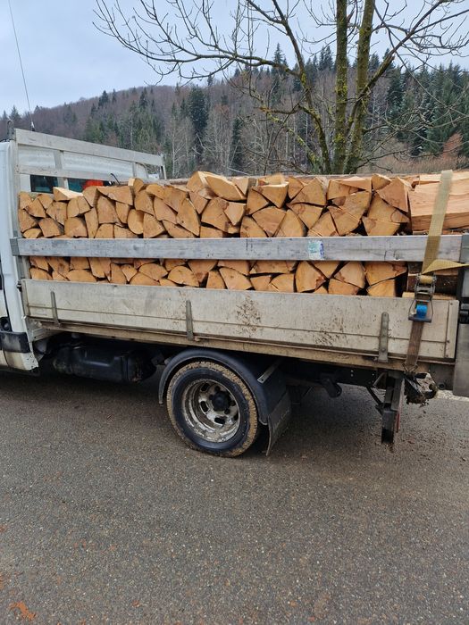 Lemne de foc esenta tare fag