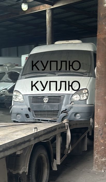 Газель Газель Газель