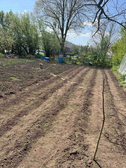 Продава се Къща в с. Дибич, Област Шумен - 118 кв.м за 519 €/кв.м - Снимка #3