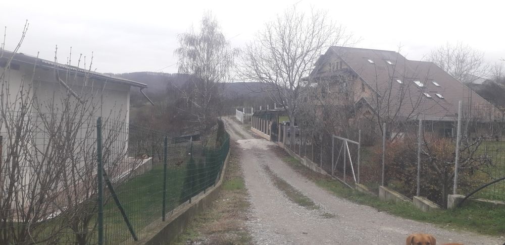 Teren Vladesti Priporu