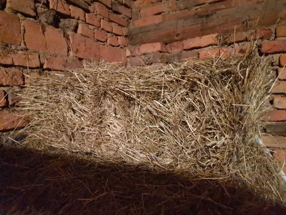 Vând Fân și otavă