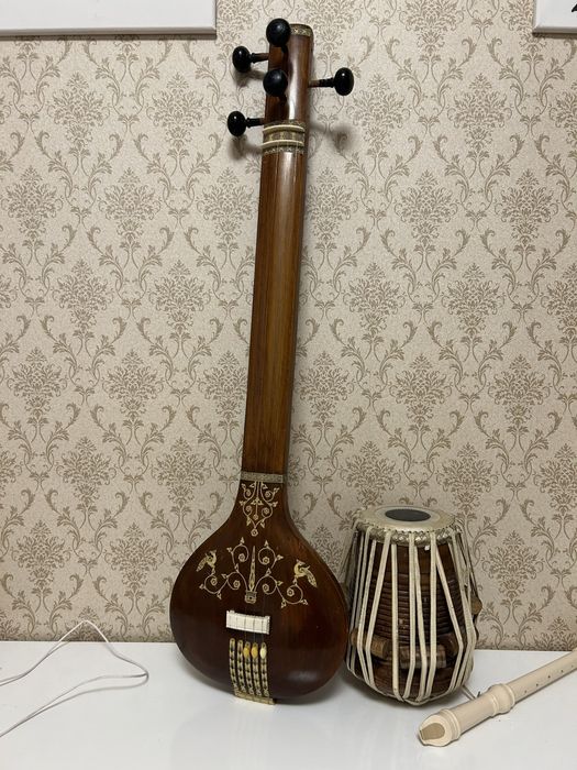 Индийский инструмент - Тампура