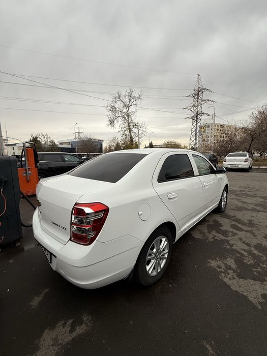 Cobalt 2024 gazi bor