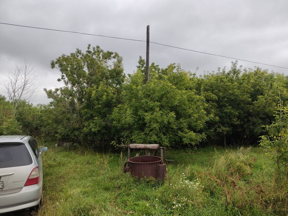 Продам дом с земельным участком