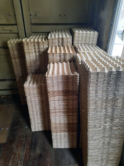 В продаже лотки яичные