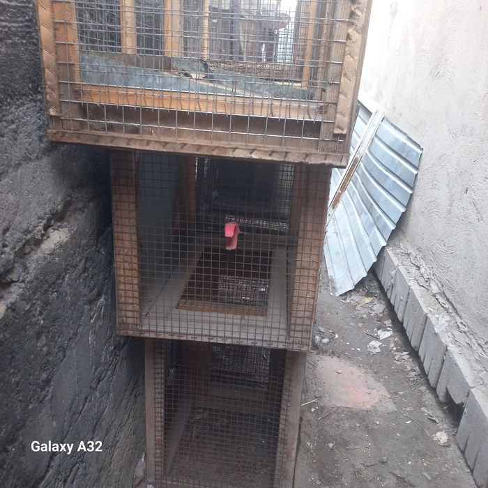 Продам  клетки  для кролика
