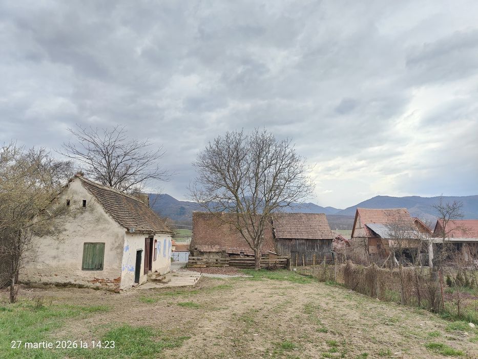 Casa cu livada / Teren intravilan / Sacel - 1350 mp Pozitie centrala