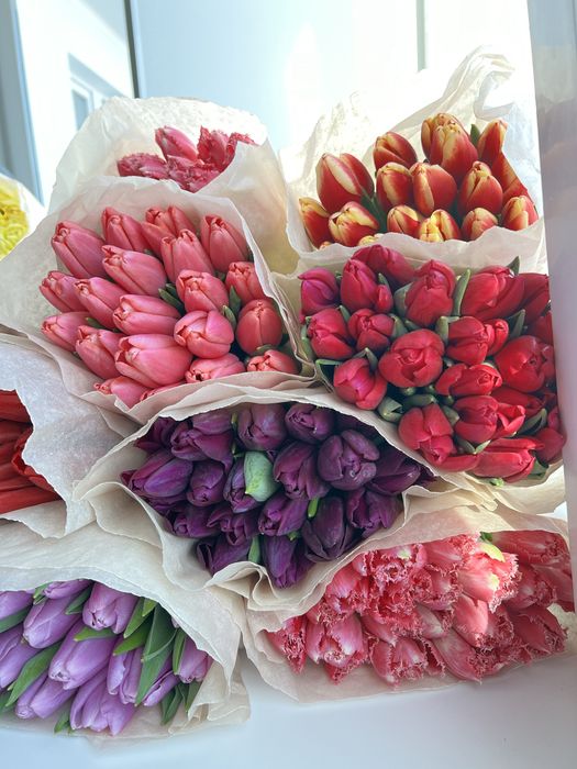 Тюльпаны в Актобе