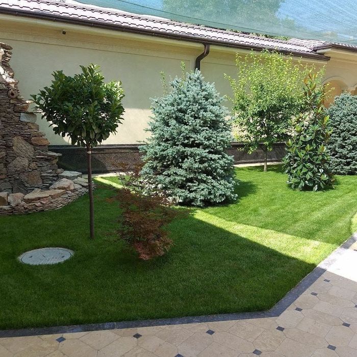 Archa kesish Арча кесиш Арча дорилаш хизмати