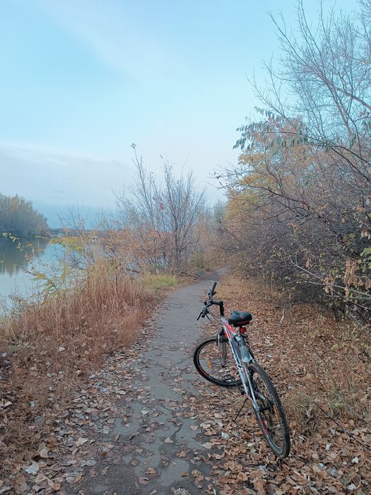 Аренда велосипеда (Прокат)