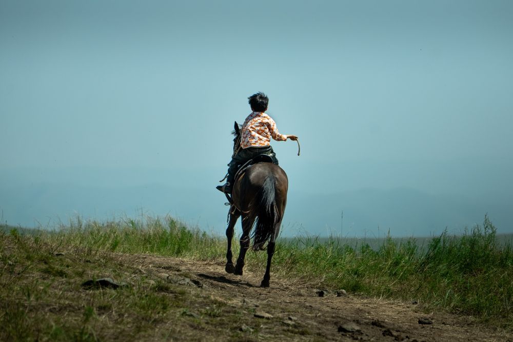 Panasonic Lumix S 70-300mm f/4.5-5.6 Macro OIS