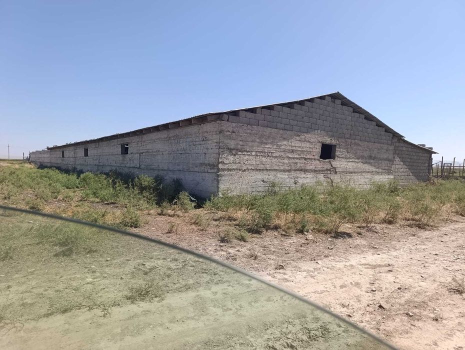 Продается кошара с пастбищами