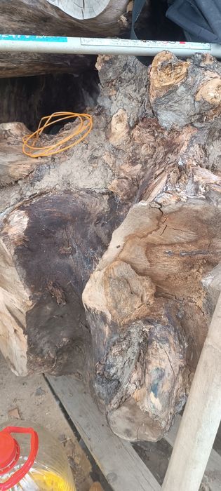 Дървен материал от Орех