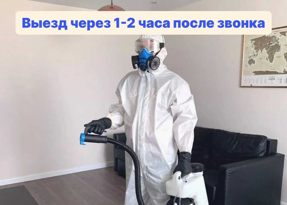 Klop burga chayon ilon sichqon kalamush | Дезинфекция dezinfeksiya 24ч