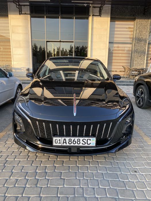 Hongqi eqm5 500 tali
