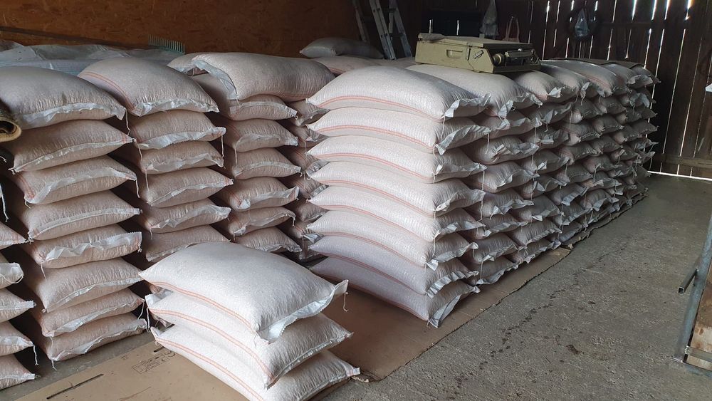 Porumb boabe - grăunțe