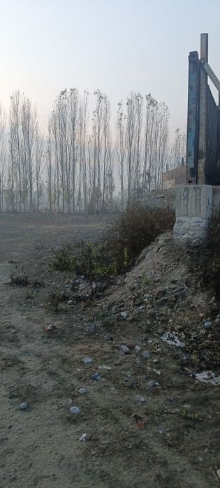 Noturar yer sotiladi