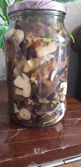 Маринованные грибы